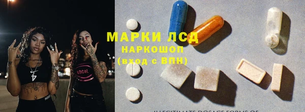 прущие грибы Инта