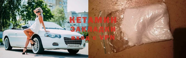 прущие грибы Инта
