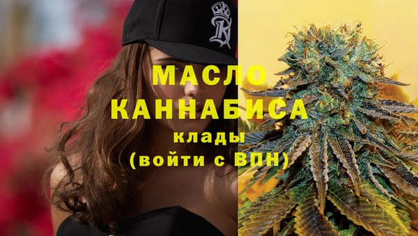 прущий лед Инсар