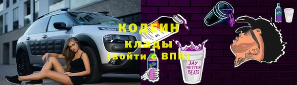 прущие грибы Инта