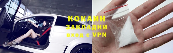 прущие грибы Инта