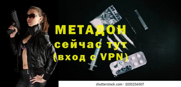 прущие грибы Инта