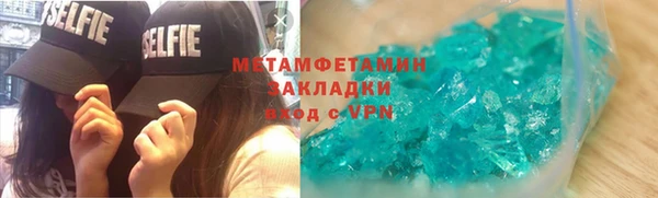 прущие грибы Инта