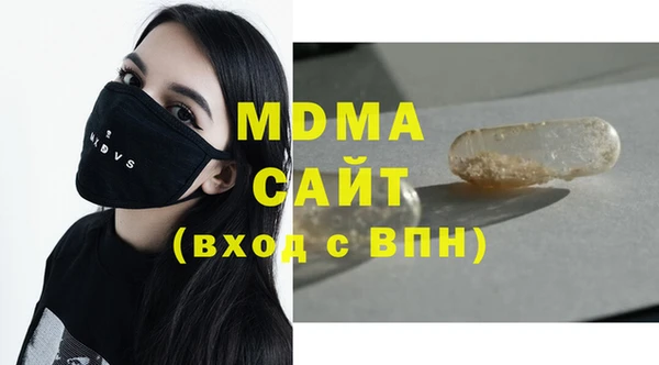 прущие грибы Инта