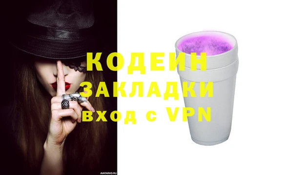 прущие грибы Инта