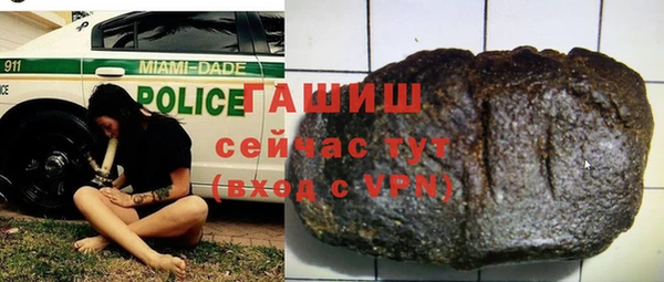 прущие грибы Инта