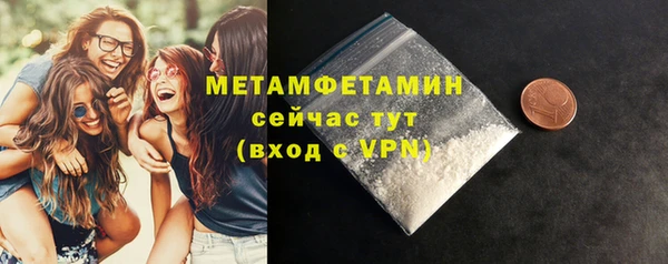 прущие грибы Инта