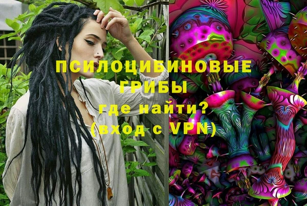 прущий лед Инсар