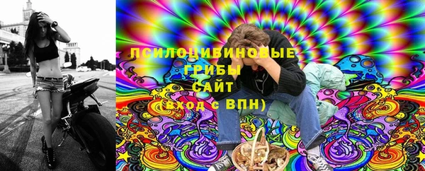 прущий лед Инсар