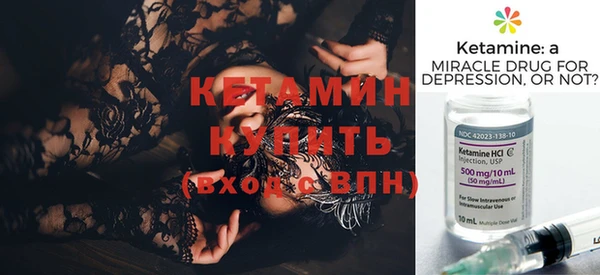 прущие грибы Инта