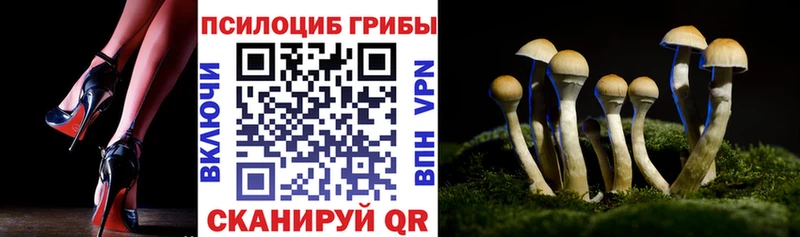 Псилоцибиновые грибы мухоморы Нижнекамск
